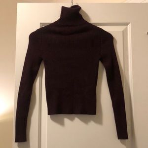 Burgundy Zara Knit Turtleneck